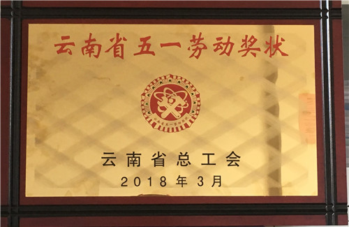 公司榮獲“云南省五一勞動獎狀”