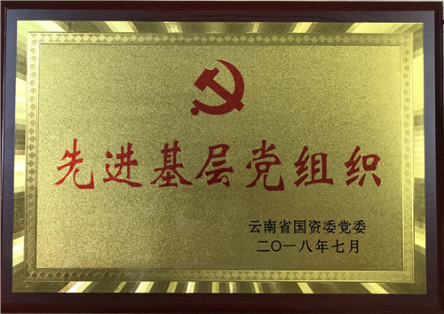 公司獲省國資委黨委、集團(tuán)黨委表彰