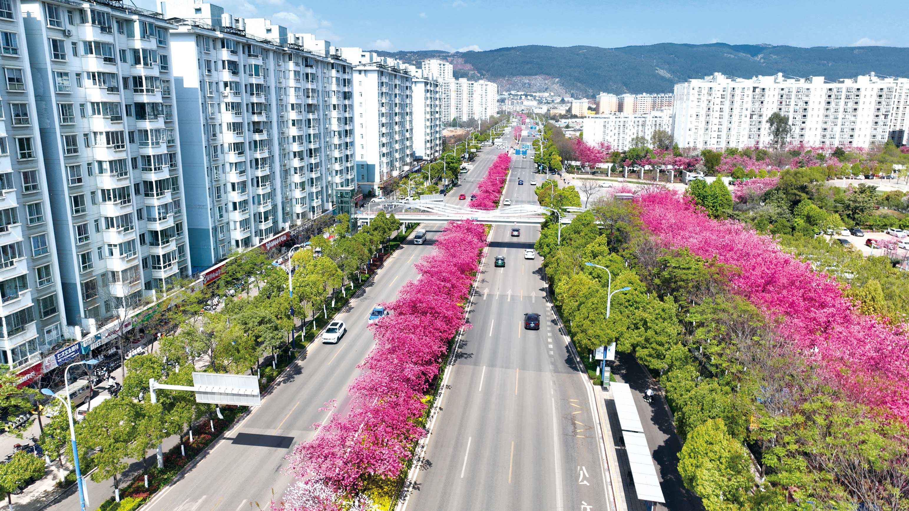 全國(guó)市政金杯-昆明市灃源路（7204道路）改擴(kuò)建工程